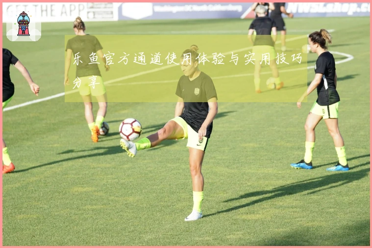 乐鱼官方通道使用体验与实用技巧分享