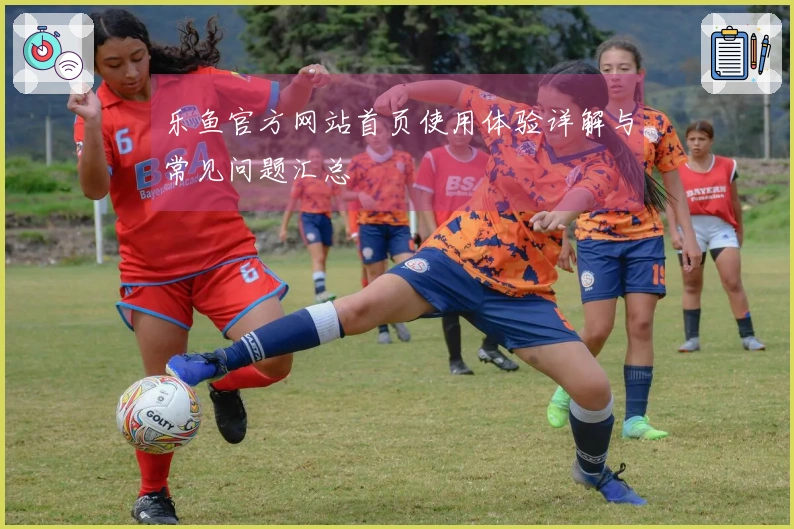 乐鱼官方网站首页使用体验详解与常见问题汇总