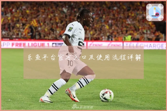 乐鱼平台官方入口及使用流程详解