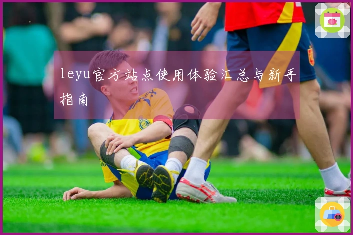 leyu官方站点使用体验汇总与新手指南