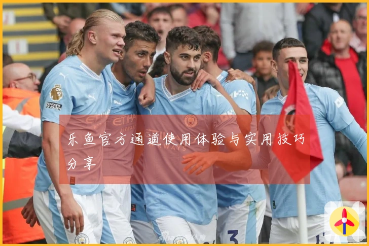 乐鱼官方通道使用体验与实用技巧分享