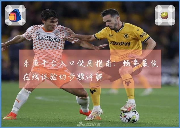 乐鱼平台入口使用指南：畅享最佳在线体验的步骤详解