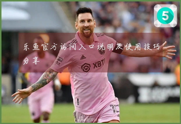 乐鱼官方访问入口说明及使用技巧分享