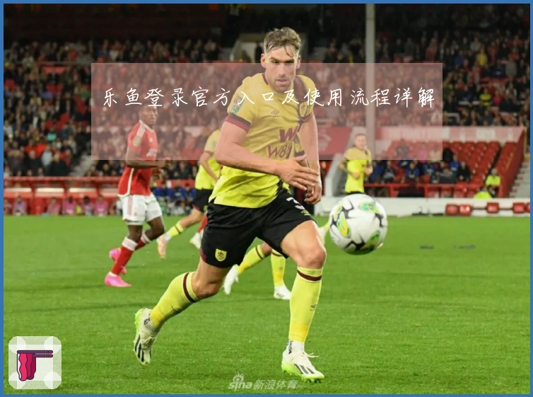 乐鱼登录官方入口及使用流程详解