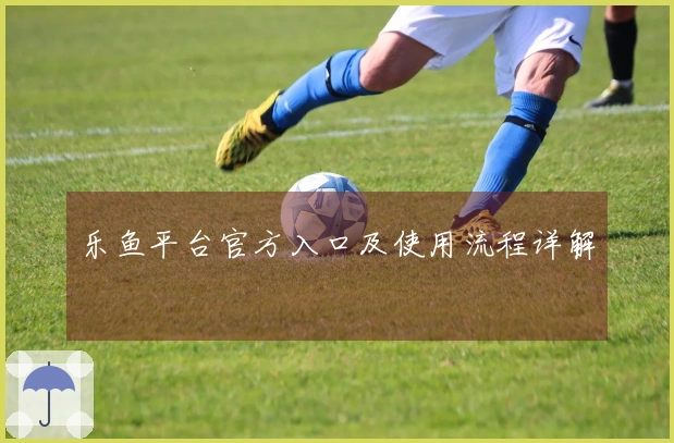 乐鱼平台官方入口及使用流程详解