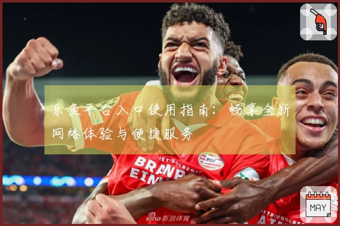 乐鱼平台入口使用指南：畅享全新网络体验与便捷服务