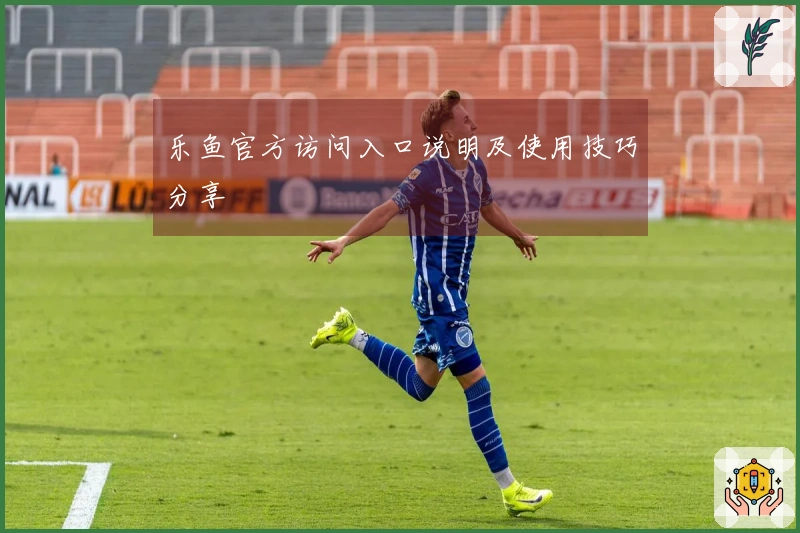 乐鱼官方访问入口说明及使用技巧分享